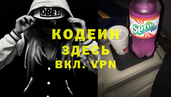 ГАЛЛЮЦИНОГЕННЫЕ ГРИБЫ Богданович