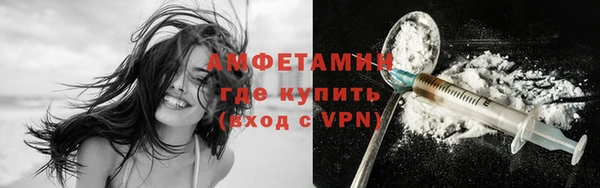ГАЛЛЮЦИНОГЕННЫЕ ГРИБЫ Богданович