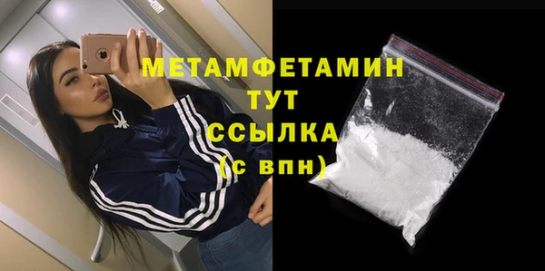 ГАЛЛЮЦИНОГЕННЫЕ ГРИБЫ Богданович