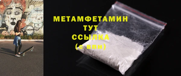 ГАЛЛЮЦИНОГЕННЫЕ ГРИБЫ Богданович