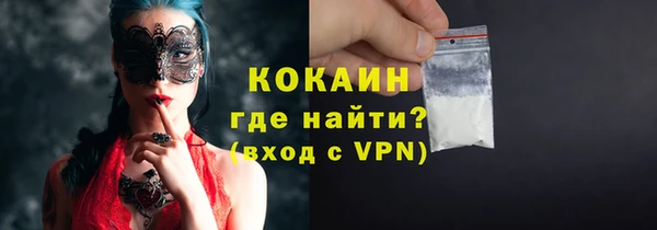 сатива Сосновый Бор