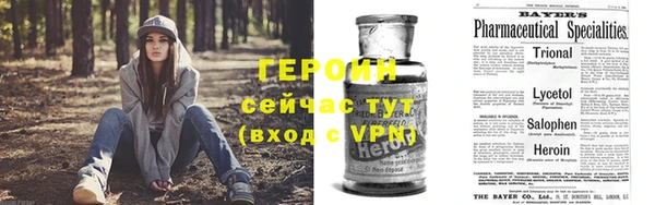 ГАЛЛЮЦИНОГЕННЫЕ ГРИБЫ Богданович