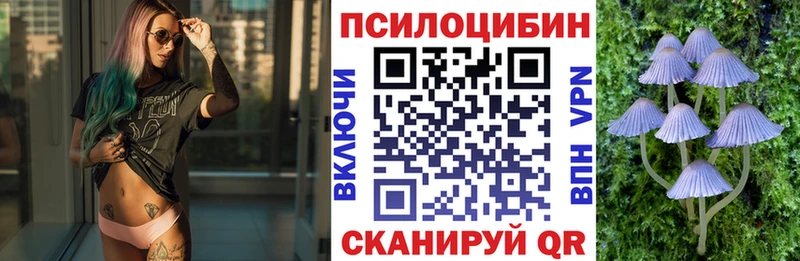 наркота  KRAKEN ССЫЛКА  shop наркотические препараты  Старица  Галлюциногенные грибы Psilocybe 