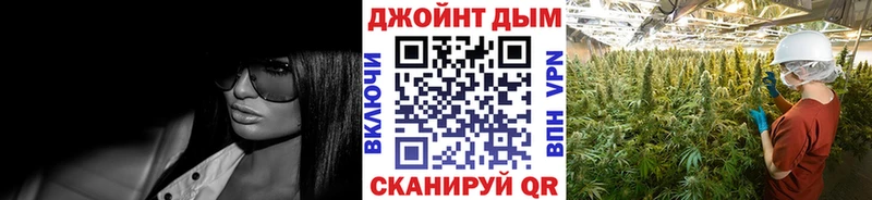 Бошки марихуана план  Старица 